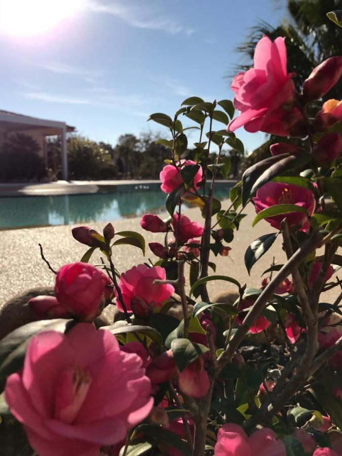 L'hacienda Piscine Chauffée à 28, Spa, Boulodrome Et Court De Tennis Privés, 2 Indépendantes *