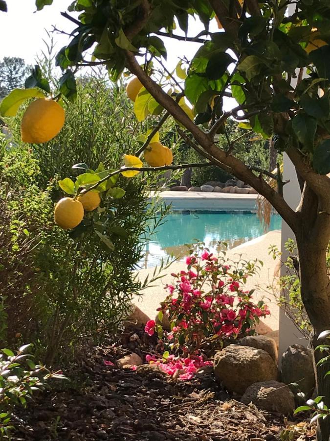 L'hacienda Piscine Chauffée à 28, Spa, Boulodrome Et Court De Tennis Privés, 2 Indépendantes